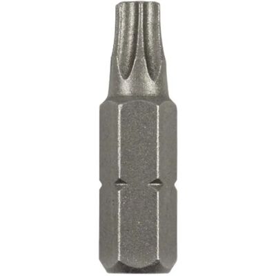 Embout tournevis Torx T30 Bosch - 2 pièces, standard - Publicité Embout tournevis Torx T30 Bosch - 2 pièces, standard - Publicité