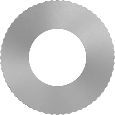 Bosch Anello di Riduzione per Dischi di Sega Circolare - 20x10x1.2 mm Bosch Anello di Riduzione per Dischi di Sega Circolare - 20x10x1.2 mm