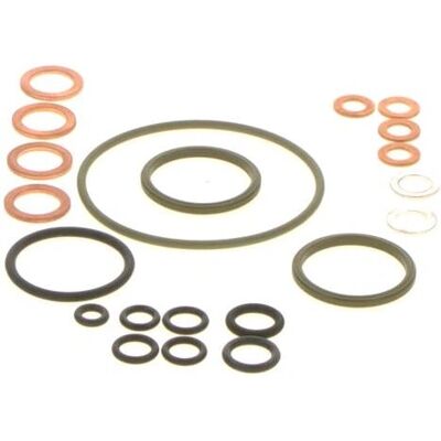 BOSCH Reparatursatz - Kraftstoffpumpe - Repair Kit BOSCH Reparatursatz - Kraftstoffpumpe - Repair Kit