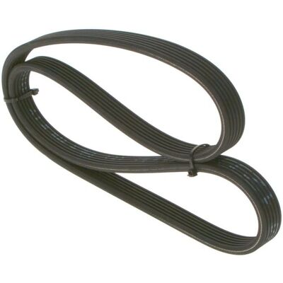 Bosch Keilrippenriemen 6er-Pack 1195mm für Audi, Ford, Seat, VW - Keilrippenriemen Bosch Keilrippenriemen 6er-Pack 1195mm für Audi, Ford, Seat, VW - Keilrippenriemen