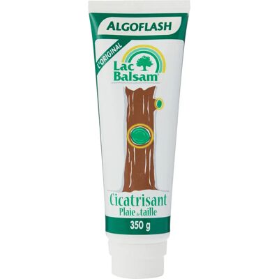 ALGOFLASH Guarigione 350 G - Balsamo di pronto soccorso ALGOFLASH Guarigione 350 G - Balsamo di pronto soccorso