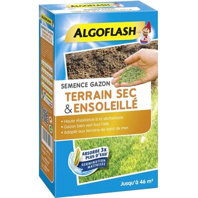 Algoflash SEMSOL1 - Grass Seeds - Blau - Widerstandsfähig gegen Trockenheit Algoflash SEMSOL1 - Grass Seeds - Blau - Widerstandsfähig gegen Trockenheit
