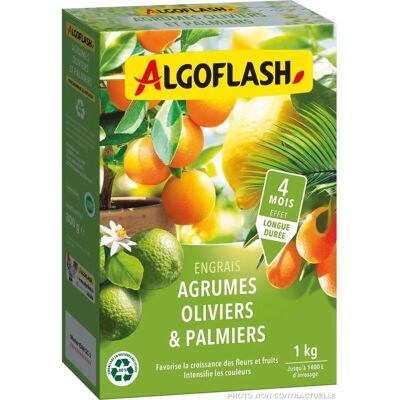 Engrais Algoflash Naturasol Olive Palm Agrumes - Outil de Croissance - Publicité Engrais Algoflash Naturasol Olive Palm Agrumes - Outil de Croissance - Publicité