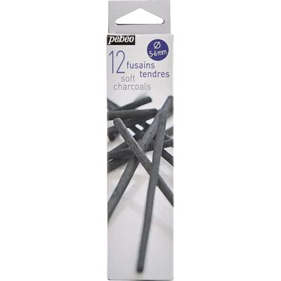 Pébéo 383100 Weiche Graphitstifte - Kohlepinsel Pébéo 383100 Weiche Graphitstifte - Kohlepinsel