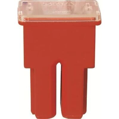 Restagraf 17104 Zekering - 50A voor Mitsubishi, Toyota, Hyundai, Suzuki, Subaru Restagraf 17104 Zekering - 50A voor Mitsubishi, Toyota, Hyundai, Suzuki, Subaru