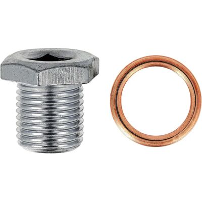 RESTAGRAF Afsluitdop - M16 x 1,50 - 2mm Dikte - Met Afdichting - Ablaßstopfen RESTAGRAF Afsluitdop - M16 x 1,50 - 2mm Dikte - Met Afdichting - Ablaßstopfen