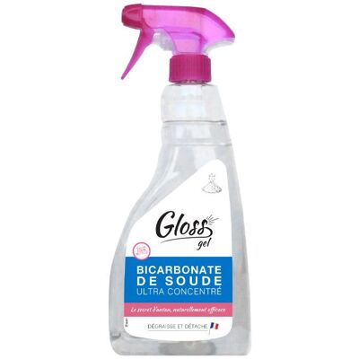 Gloss PV83516001 Pulitore Multiuso - Soluzione Pulente e Detergente Gloss PV83516001 Pulitore Multiuso - Soluzione Pulente e Detergente