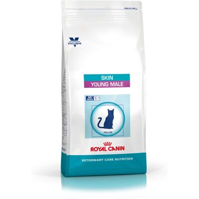 Royal Canin Skin Young Male Cibo secco per gatti - 3,5kg - Alimento per adulti Royal Canin Skin Young Male Cibo secco per gatti - 3,5kg - Alimento per adulti