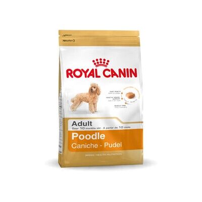 Royal Canin Pudel Vuxen Torrfoder - Ras Pudel 30 (1,5 kg) Royal Canin Pudel Vuxen Torrfoder - Ras Pudel 30 (1,5 kg)