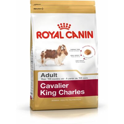 Royal Canin Cavalier King Charles Adult 1.5 kg - Dog Food Royal Canin Cavalier King Charles Adult 1.5 kg - Dog Food