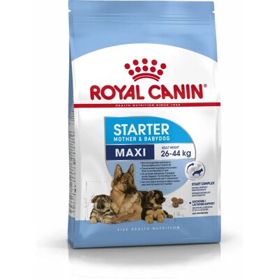 Royal Canin Maxi Starter Mor & Valper - Stor Rase Fôr Royal Canin Maxi Starter Mor & Valper - Stor Rase Fôr