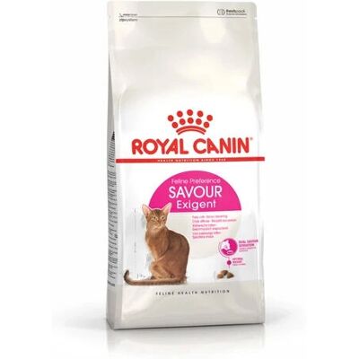 Royal Canin - Savour Exigent - 12 kg - Trockenfutter für Katzen Royal Canin - Savour Exigent - 12 kg - Trockenfutter für Katzen