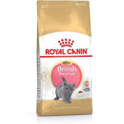 Royal Canin British Shorthair Kitten Dry - 10kg Royal Canin British Shorthair Kitten Dry - 10kg