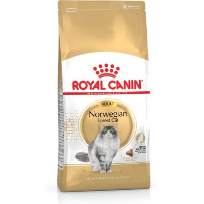 Royal Canin Chat des Forêts Norvégiennes Adulte Sec - 10kg Royal Canin Chat des Forêts Norvégiennes Adulte Sec - 10kg