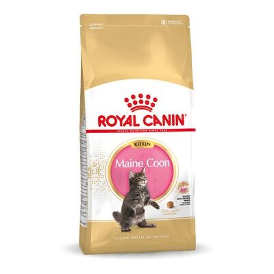 Royal Canin Maine Coon Kitten Dry Food 10kg - Cat Food Royal Canin Maine Coon Kitten Dry Food 10kg - Cat Food