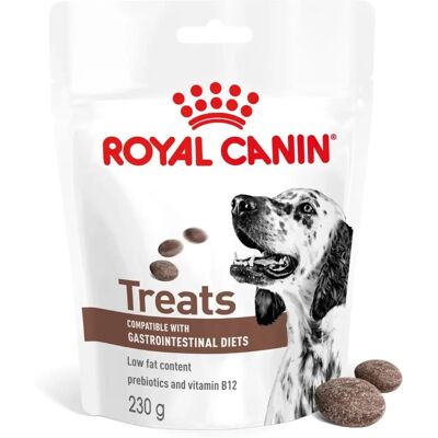Friandises Gastrointestinales Royal Canin - Snack pour chien 230g Friandises Gastrointestinales Royal Canin - Snack pour chien 230g