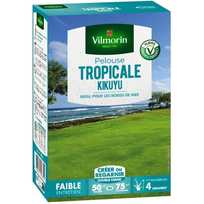 Prato tropicale Kikuyu Vilmorin - Creare o rigenerare - 75m² Prato tropicale Kikuyu Vilmorin - Creare o rigenerare - 75m²