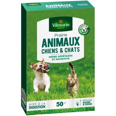 Herbe de jardin VILMORIN 50 m² pour animaux - Chien & Chat - Publicité Herbe de jardin VILMORIN 50 m² pour animaux - Chien & Chat - Publicité