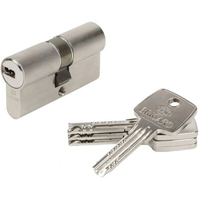 BRICARD 15701 Niklowany mosiężny cylinder - Poziom bezpieczeństwa Dobry BRICARD 15701 Niklowany mosiężny cylinder - Poziom bezpieczeństwa Dobry