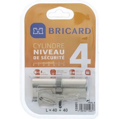 Bricard 15981 Niklowany Podwójny Otwór Cylindry - Poziom Bezpieczeństwa 4 Bricard 15981 Niklowany Podwójny Otwór Cylindry - Poziom Bezpieczeństwa 4