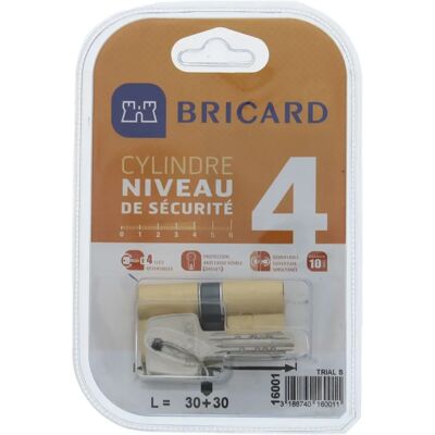 Bricard 16001 Cylinder - Podwójny wejście - Poziom bezpieczeństwa 4 Bricard 16001 Cylinder - Podwójny wejście - Poziom bezpieczeństwa 4