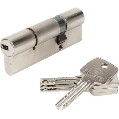 BRICARD 17155 Lock Cylinder - Nickeled Brass, 10 Pistons, Anti-Drill, Personal Card BRICARD 17155 Lock Cylinder - Nickeled Brass, 10 Pistons, Anti-Drill, Personal Card