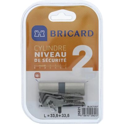 BRICARD 25821 Niklowany cylinder - Poziom bezpieczeństwa 2 BRICARD 25821 Niklowany cylinder - Poziom bezpieczeństwa 2