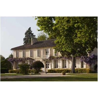 Château La Croix Montlabert 2017 Saint-Emilion Grand Cru - Wein Château La Croix Montlabert 2017 Saint-Emilion Grand Cru - Wein