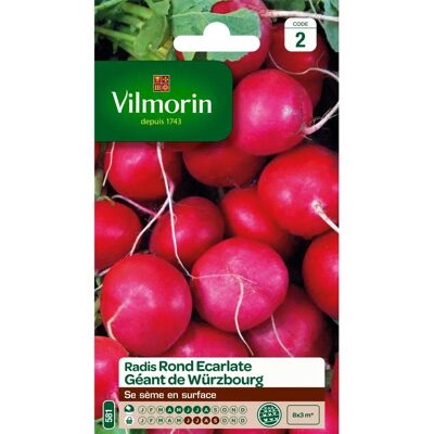 VILMORIN - Jätteskarlakansröd rund rädisa - rouge - grand - Seed - Publicité VILMORIN - Jätteskarlakansröd rund rädisa - rouge - grand - Seed - Publicité