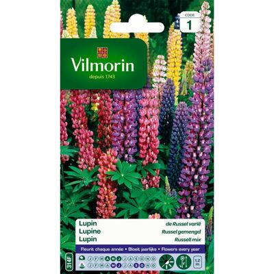 VILMORIN - 5345741 Lupin di Russel varie - Multicolore VILMORIN - 5345741 Lupin di Russel varie - Multicolore