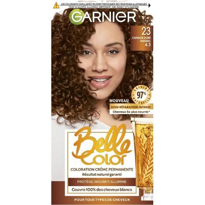 Coloration Permanente Blonde Doré Naturelle Garnier - Publicité Coloration Permanente Blonde Doré Naturelle Garnier - Publicité