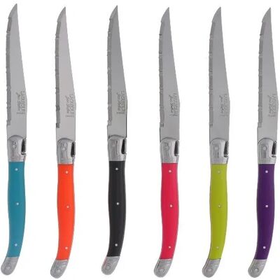 Ensemble de 6 couteaux à steak Jean Dubost - Couleurs variées - Couverts - Publicité Ensemble de 6 couteaux à steak Jean Dubost - Couleurs variées - Couverts - Publicité