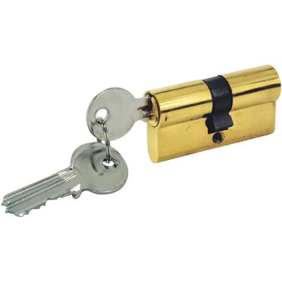 COGEX - cilindro porta + 3 chiavi 60MM COGEX - cilindro porta + 3 chiavi 60MM