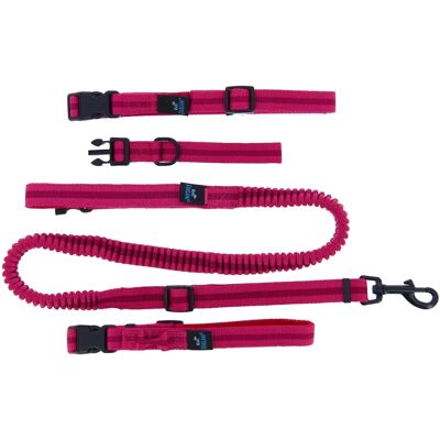 Fidelami Kit paseo 3 pièces confort - Accessoire pour animaux - Publicité Fidelami Kit paseo 3 pièces confort - Accessoire pour animaux - Publicité