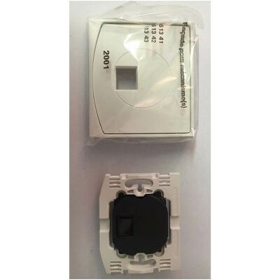 Arnould 61343 - RJ45 Outlet - Series 2001 Light - White Arnould 61343 - RJ45 Outlet - Series 2001 Light - White