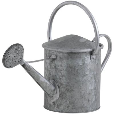 Aubry Gaspard Arrosoir décoratif en zinc lourd 5 litres - Arrosoir - Publicité Aubry Gaspard Arrosoir décoratif en zinc lourd 5 litres - Arrosoir - Publicité