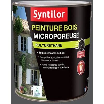 Syntilor 2,5L microporeuse ardoise intérieur extérieur peinture - Publicité Syntilor 2,5L microporeuse ardoise intérieur extérieur peinture - Publicité