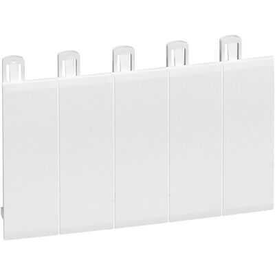 Accessoire de tableau électrique Legrand 001660 Blanc - 5 Modules Séparables - Publicité Accessoire de tableau électrique Legrand 001660 Blanc - 5 Modules Séparables - Publicité