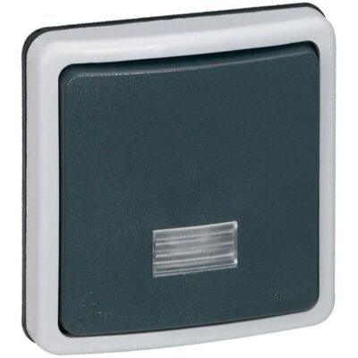 Legrand LEG90480 Interruptor de dos vías gris - Interruptor de luz Legrand LEG90480 Interruptor de dos vías gris - Interruptor de luz