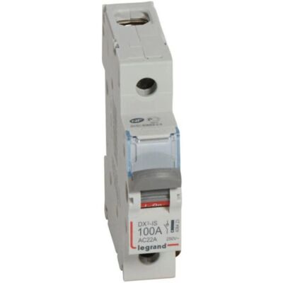 Legrand 406423 - Interrupteur principal 1P 100A, IP20 - Publicité Legrand 406423 - Interrupteur principal 1P 100A, IP20 - Publicité