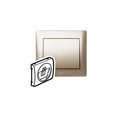 Legrand 771400 Titanium Wandplaat - Schakelaar Cover Legrand 771400 Titanium Wandplaat - Schakelaar Cover