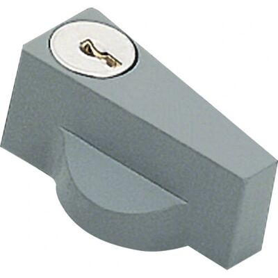 Hager FL96Z Ral7046 Poignée à clé - Accessoire pour boîtier électrique - Publicité Hager FL96Z Ral7046 Poignée à clé - Accessoire pour boîtier électrique - Publicité
