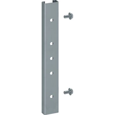 Hager FZ7801 - Zinc - 250 mm - 20 mm - 30 mm - Accessoire de armoire serveur - Accessoire pour boîtier électrique - Publicité Hager FZ7801 - Zinc - 250 mm - 20 mm - 30 mm - Accessoire de armoire serveur - Accessoire pour boîtier électrique - Publicité