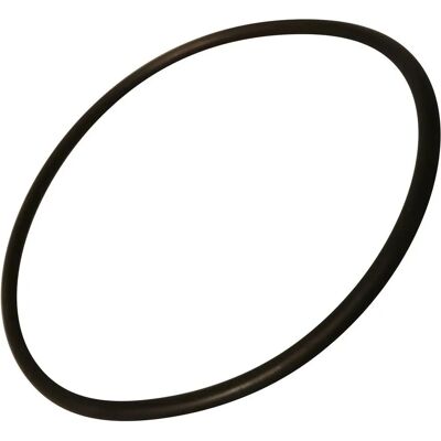 BRANDT AS0042307 - Guarnizione pompa per lavastoviglie BRANDT AS0042307 - Guarnizione pompa per lavastoviglie