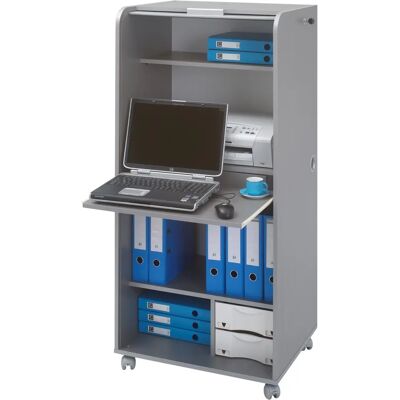 Armoire Mobile de Bureau en Aluminium avec 2 Tiroirs - Type Bureau - Publicité Armoire Mobile de Bureau en Aluminium avec 2 Tiroirs - Type Bureau - Publicité