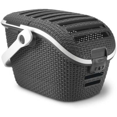 Curver Haustiertransportbox - Tragetasche für Katzen & Kleintiere Curver Haustiertransportbox - Tragetasche für Katzen & Kleintiere