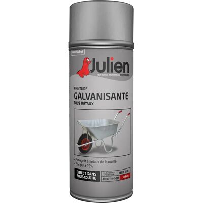 vernice Julien N°79 brillante per interni - Spray vernice Julien N°79 brillante per interni - Spray