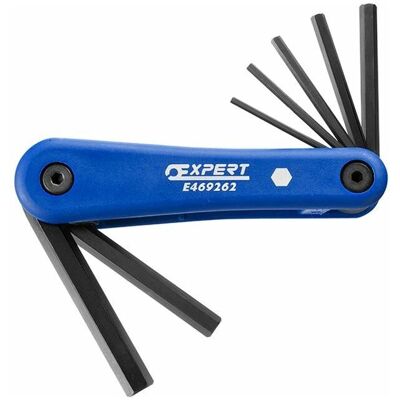 Expert Facom Sechskantschlüssel-Set - 7 Metrische Größen - Robuste Oberfläche Expert Facom Sechskantschlüssel-Set - 7 Metrische Größen - Robuste Oberfläche