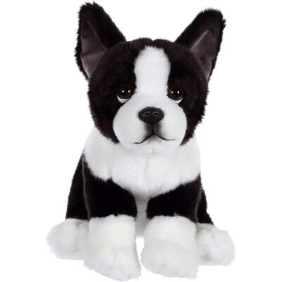 Gipsy Toys - Pluszowy pies francuski buldog - 25 cm Gipsy Toys - Pluszowy pies francuski buldog - 25 cm