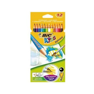 Crayons aquarellables BIC Aquacouleurs 12 pièces - Matériel artistique Crayons aquarellables BIC Aquacouleurs 12 pièces - Matériel artistique